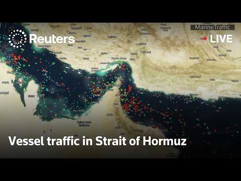 Video Thumbnail: LIVE: Vessel traffic in Strait of Hormuz