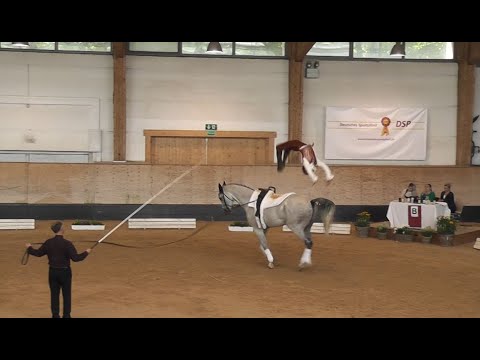 Bayerischer Meister Einzelvoltigieren  2022 - Julian Wilfling