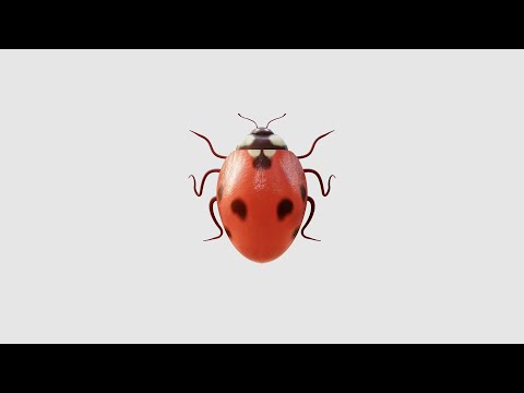 Video thumbnail for Getting Older