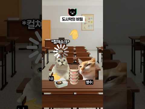 도시락의 비밀 🍱