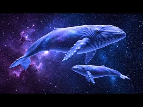 1 Hour of Cosmic Whales – Deep Sleep & 432Hz Whale Sounds in the Universe 🌌🐋