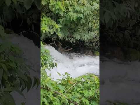 Cachoeira Em Bonito No Mato Grosso do Sul.