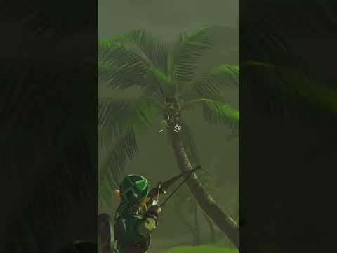 Did You Know In Breath Of The Wild You Could Do This?