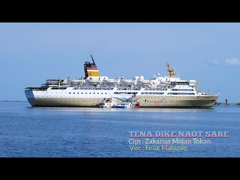 TENA DIKE NAOT SARE/Official Music Video/Lamaholot/Flores/NTT