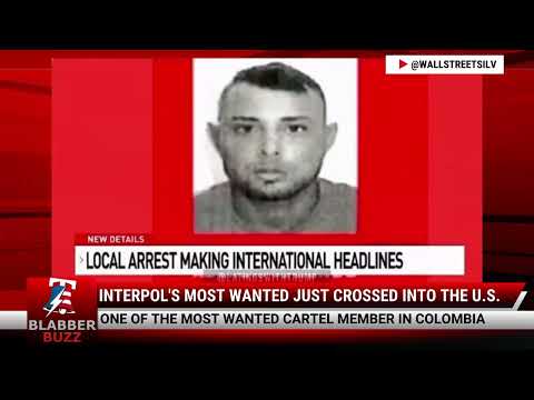 Watch: Interpol's Most Wanted Just Crossed Into The U.S.