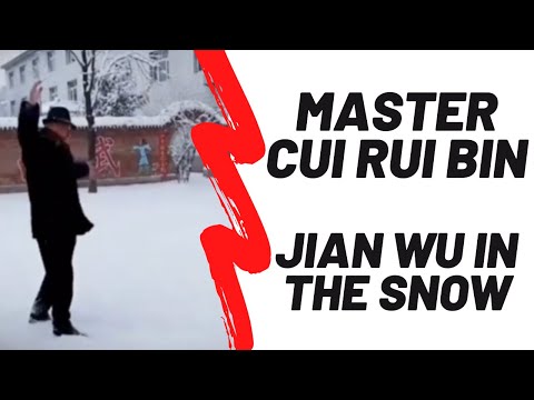 ☯️ Yi Quan Master Cui Rui Bin in the snow february 2022