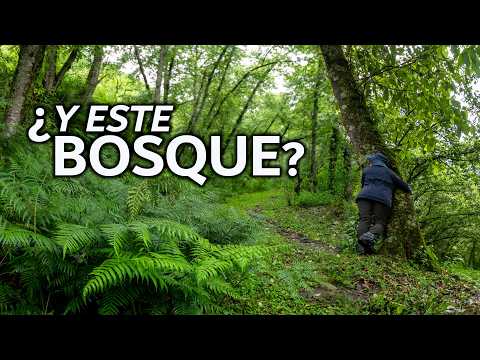Así es Aconquija (Catamarca) en la estación húmeda