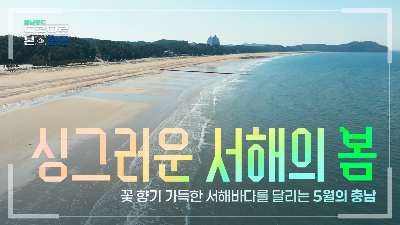 [ 4K ]🌊 싱그러운 서해의 봄! 시원하고 아름다운 충남바다를 꽃 향기 가득한 태안에서 즐겨요🚗ㅣ충남로드-드론으로 본 충남 2화