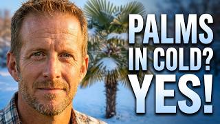 Grow Tropical Palms in Cold Environemnts | How to Plant, Prune, Fertilize, Etc.