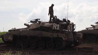 L.A. Marzulli: Signs and Wonders