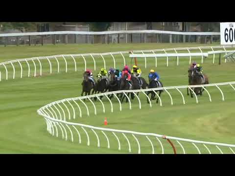 Marton Cup 2026 - ONE BOLD CAT (Hcp LR) Listed Trentham NZ 3 January