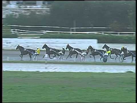 Trotto 29/10/2015 - 3° corsa