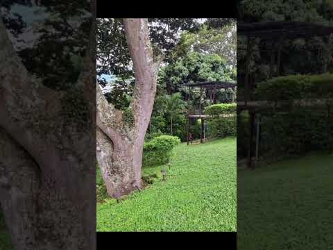 Hermosa Quinta - Atenas Alajuela