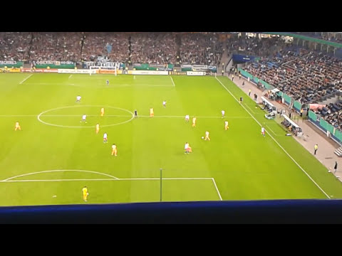 Pierre-Michel Lasogga erstes Tor  für den HSV 🔷️⚪⚫ DFB Pokal 2. Runde Saison 2013/2014