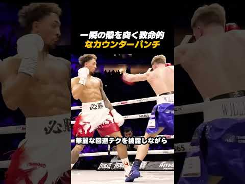 圧倒的な反射神経！言葉を失う芸術的なカウンターパンチがエグい