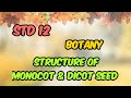 12th Std BOTANY Class 12 Structure Of Monocot And Dicot Seed Online School Online Classes Tamil