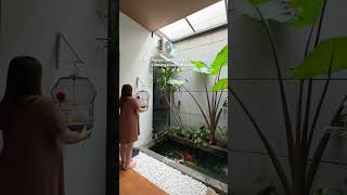 Download lagu Having a garden at home feels like being in the jungle! 🥰 #homeliving #homedecor mp3
