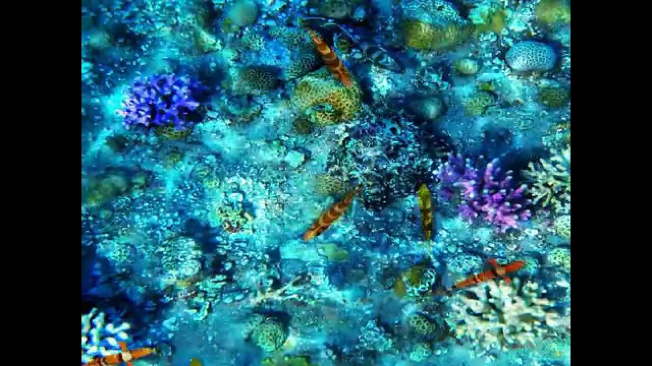 Ocean Effect - Interactive Floor Effect