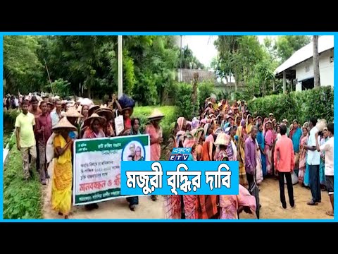 দেশের সব চা বাগানে প্রতিদিন ২ ঘণ্টার কর্মবিরতি শ্রমিকদের