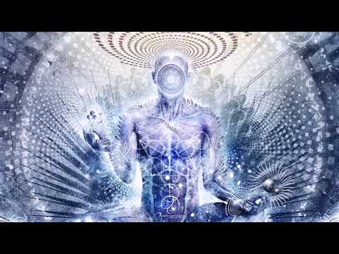 Insane Creatures - DSL Psychology