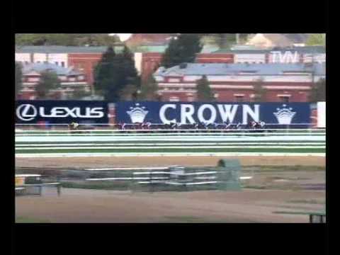 2009 Turnbull Stakes - Efficient
