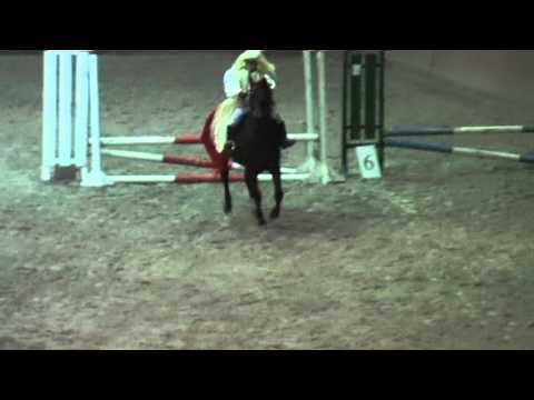 Cisarsky ostrov Dejneka Anna Andel Cert