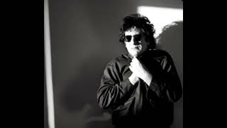 Stan Ridgeway - The Overlords @444hz