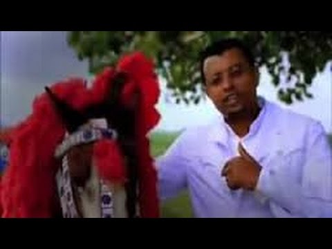 Tadele gemechu   Hinteenyu