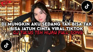 Download lagu DJ TULUS GREEN TEA REMIX FULL BASS || DJ MAYBE I CAN'T, I CAN'T FALL IN LOVE VIRAL TIKTOK mp3