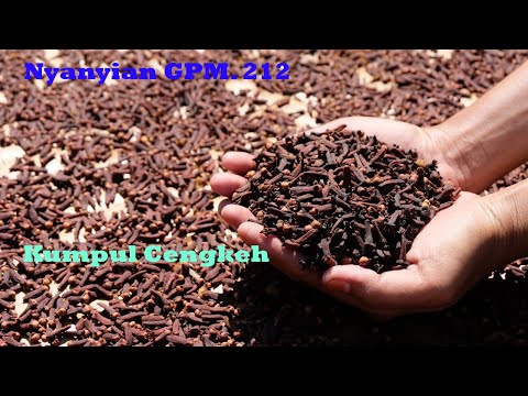 Kumpul Cengkeh ( Nyanyian GPM No. 212 )