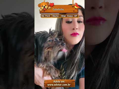 Vídeo de Cabelinho