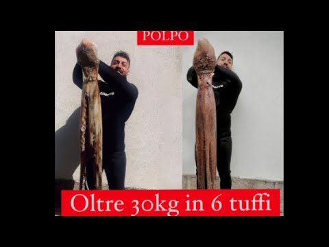 Polpo, oltre 30kg in 6 tuffi. Raccolta delle catture più importanti della passata stagione invernale