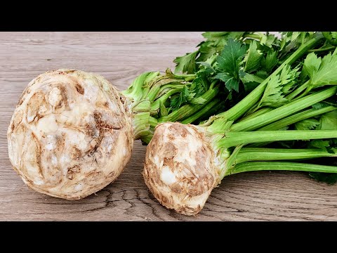 How To Made Celery Dish | Healthy Celery Meal Recipe | Tasty Recipes | Enable Subtitles👉⚙🌍