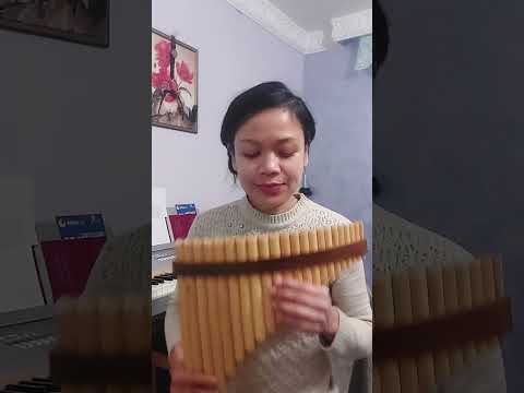 Vin acas ( learning nai panflute )