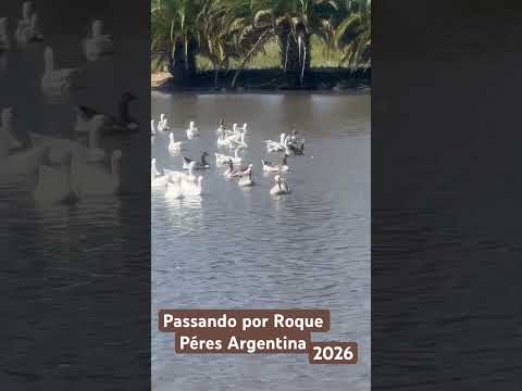 #Roque Péres Argentina