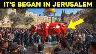 Jerusalem Prepares For Jesus To Return