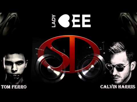 Calvin Harris, Tom Ferro & Lady Bee - Mashup Don (Shano Dalfour mashup)