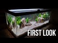 I Tried To Make A Brackish Tank Aquascape Will It Work
