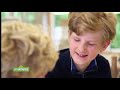 Sesamstrasse Sesamstrasse YouTube 2