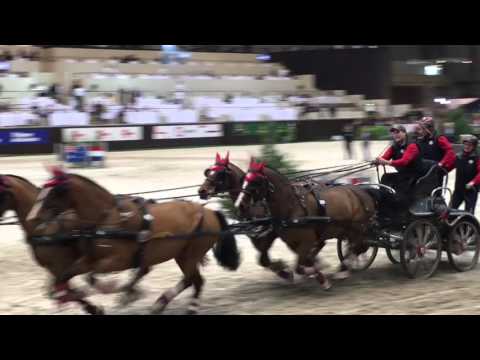 Attelage CSI Geneva remise des prix