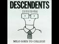 Kabuki Girl - Descendents 