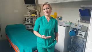 Síntomas, diagnóstico y tratamiento de Intolerancias alimentarias