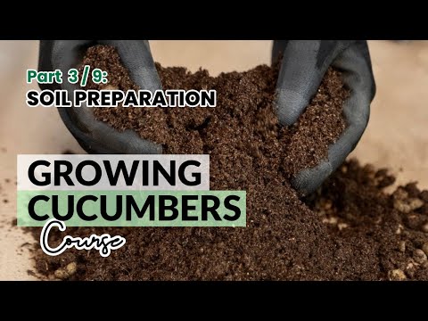 Part 3/9: Soil Preparation | Growing Cucumbers Course