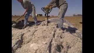 preview picture of video 'unloading cotton seed.Videos'