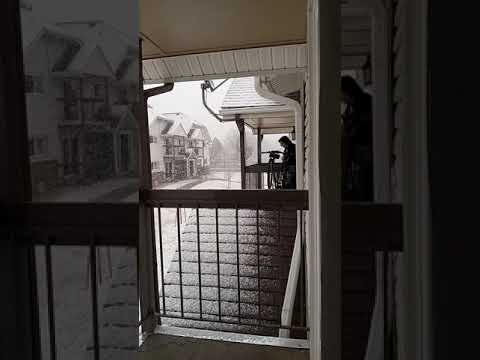 snow storm is here! Denver CO 3/13/2021