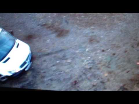 Wolf blood season 5 episode 2 sneak peak CBBC