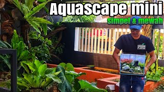 #342 Membuat Aquascape simpel & mewah