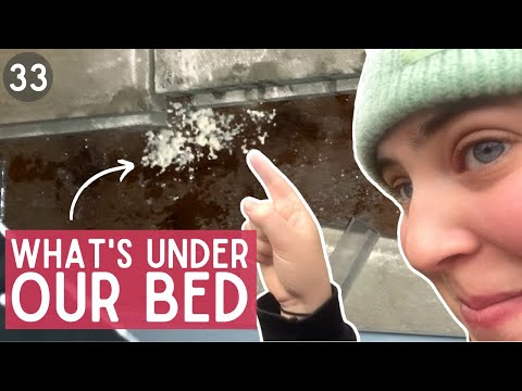 A typical winter week | We find MOULD on our NARROWBOAT - 33