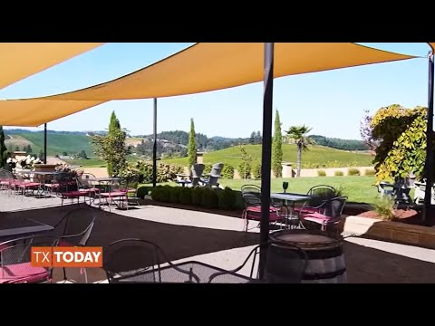 Plan an unforgettable trip to Oregon's Willamette Valley | Texas Today
