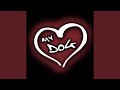 I Love My Dog